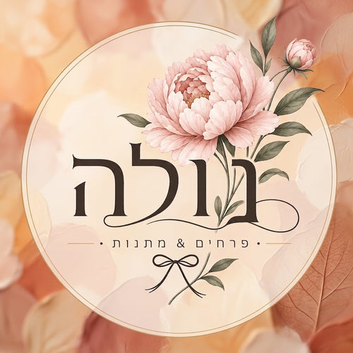 נולה